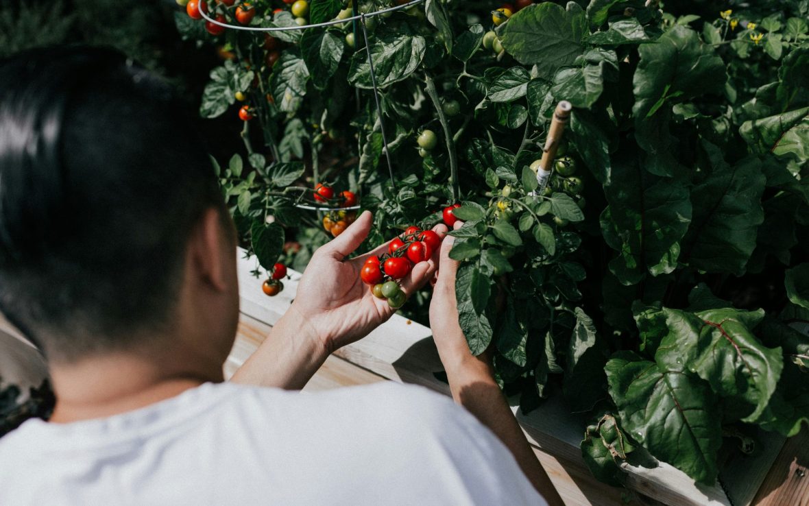 Chefs du voyage: Why taking a trip with a renowned chef is the new ‘it’ tour